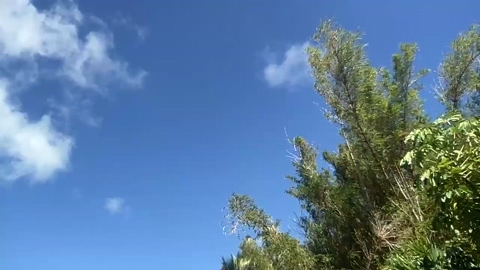 jungleliving333  20-08-2022